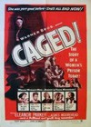 Caged (1950).jpg